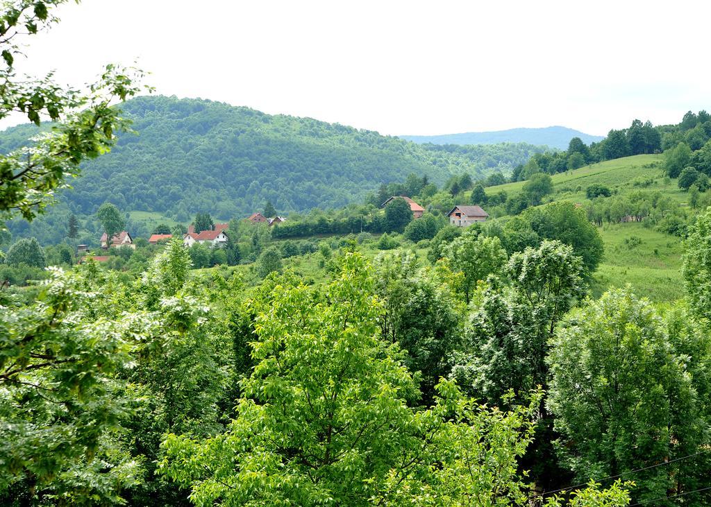 Apartments Zugec Seliste Dreznicko Exteriör bild